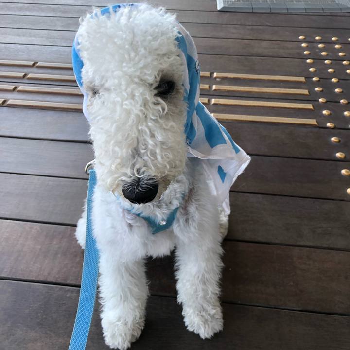 462c828b 8dc9 4ba7 8dc0 18a839ce7d61 1592349711714