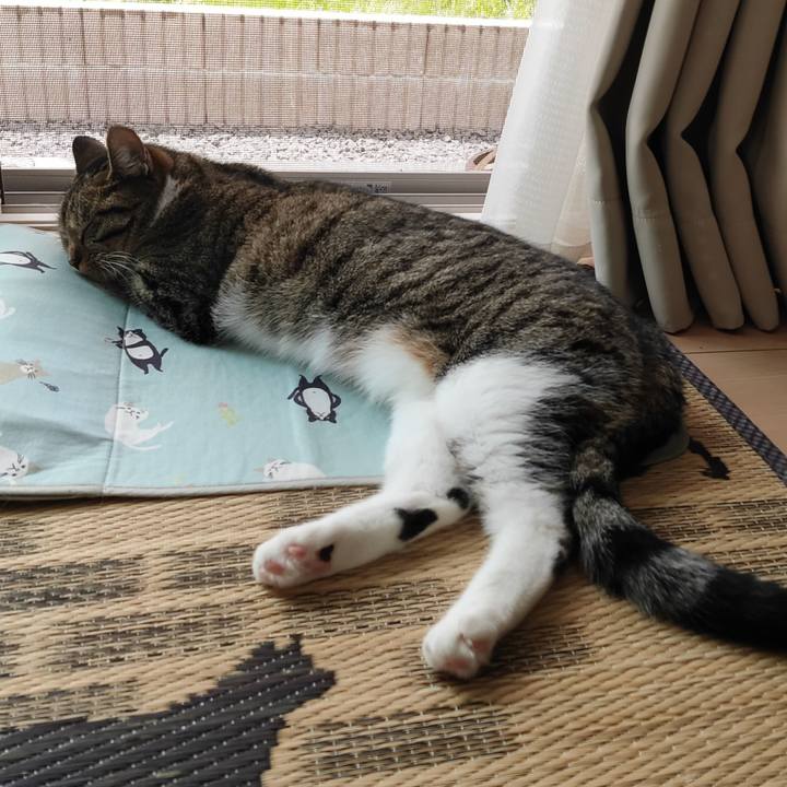 462cb565 3e65 412a affd e1adfe4a626d 1657258375263