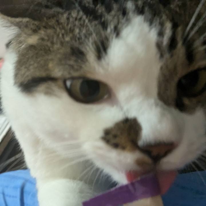 462d1d11 2e34 4185 ae53 72683c4e978d 1719921742373