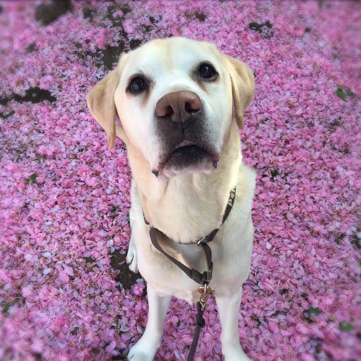 462d3d16 507f 497e 967a 94af7f121956 1556457071813