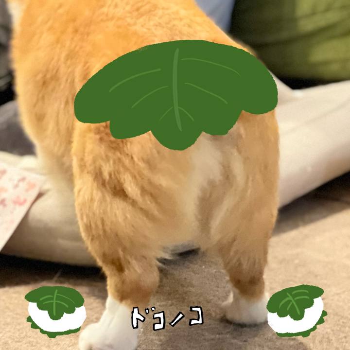 462d3f01 4cb0 4d02 8f23 7584df1164ed 1749690973827