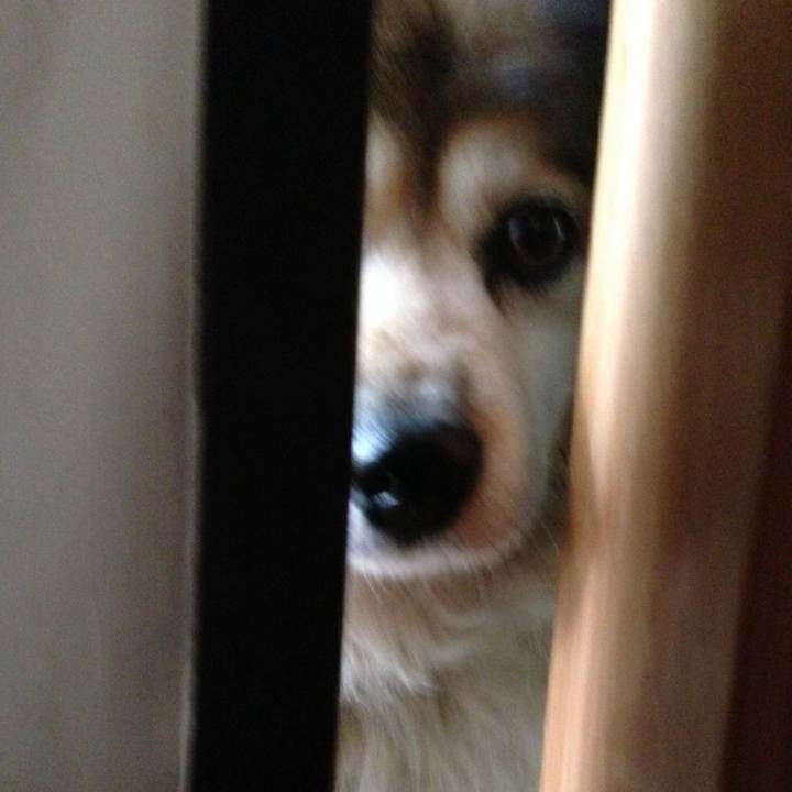 462d51fa 55d2 46d6 9298 3a6b3d3e1f3a 1614548897382