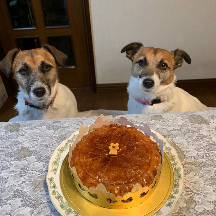 462dcb72 40e7 4656 8c1e e2738ebaccb2 1609933509415