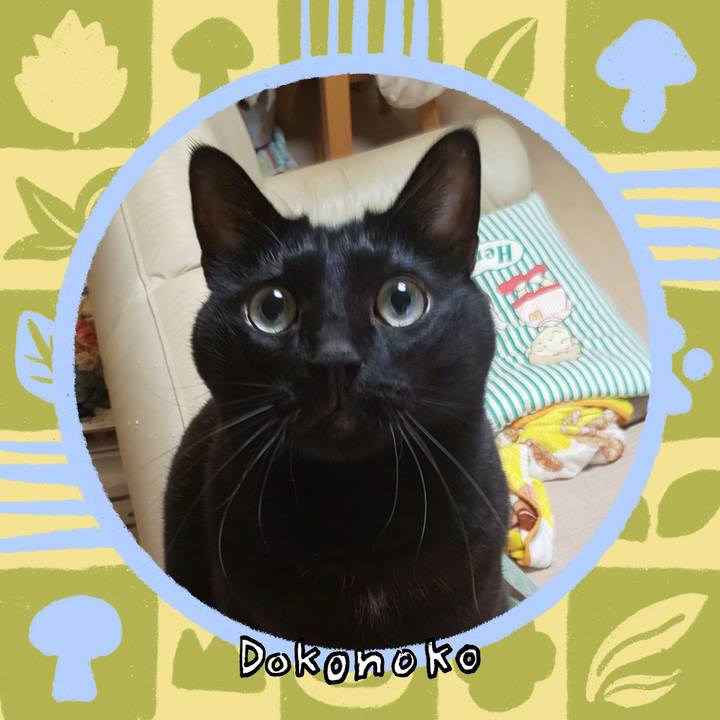 462dfa6a b688 433d ac46 cf2153f33727 1763160353721