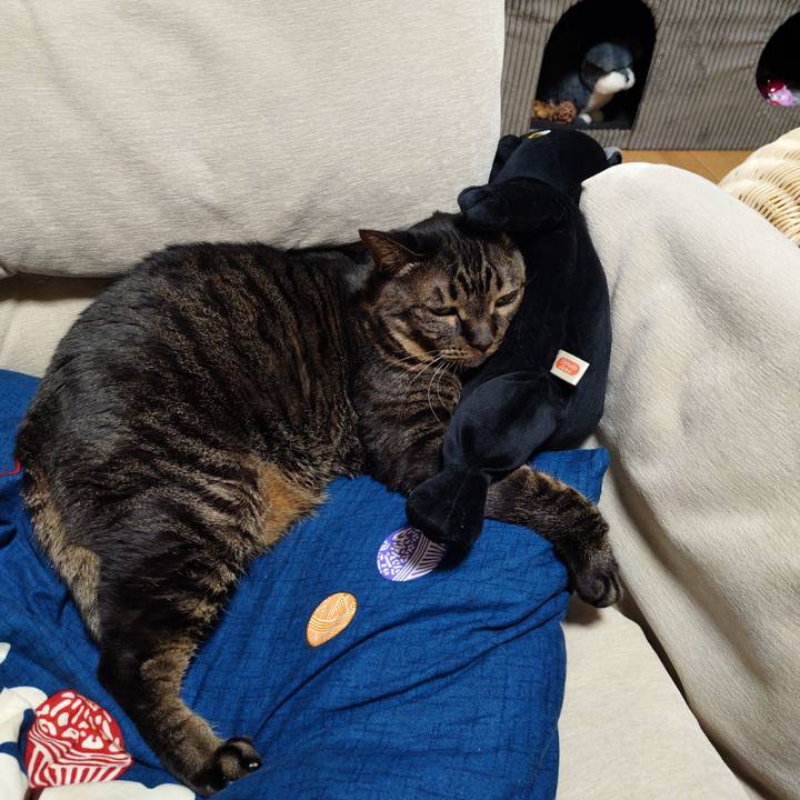 462e17ec a3b0 4266 ae00 58d26e000d8c 1772717033597