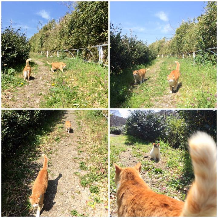 462e197c 1653 4004 b7e3 c3ac4d66607e 1584773014877