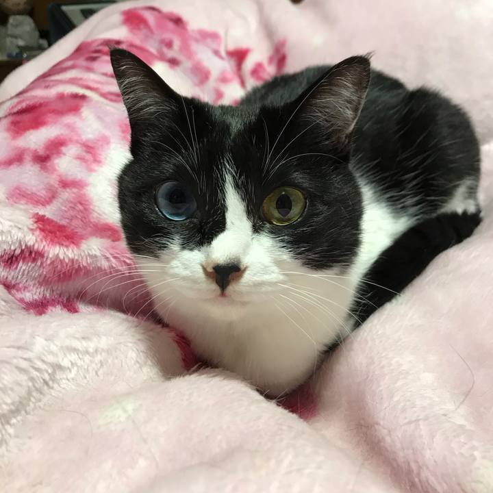 462e19ae b105 430a a07e 69cdf623814a 1620307342004