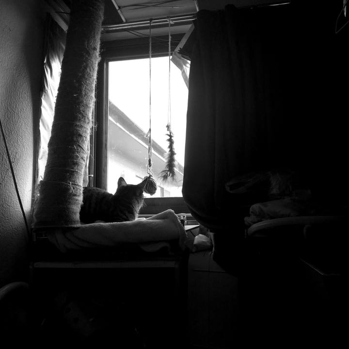 462e37ae d1bb 4577 a4a6 2ff451af378e 1542244662940