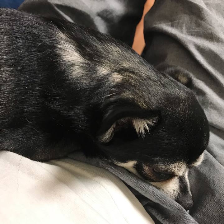 462e4abe d14a 4cd4 9c68 baf011438a5b 1565780994429