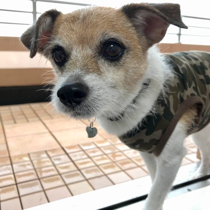 462e50b0 a2ae 45b3 bebc 2816bb9331d6 1602286222716