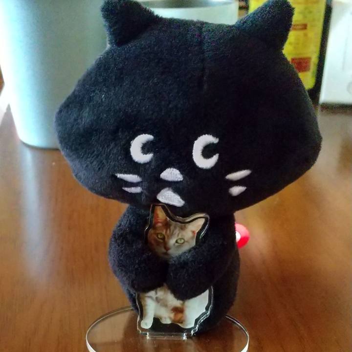 462e8d85 09e1 4a03 8886 2f3227c8557e 1758945098173