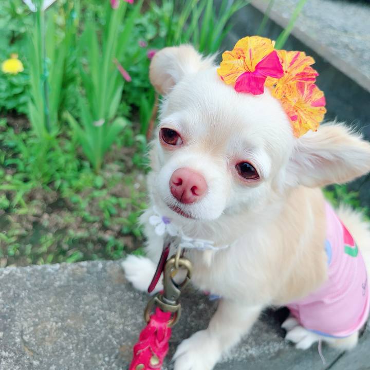 462ea49a 45fe 4216 b086 2308374d2dd4 1687951597202