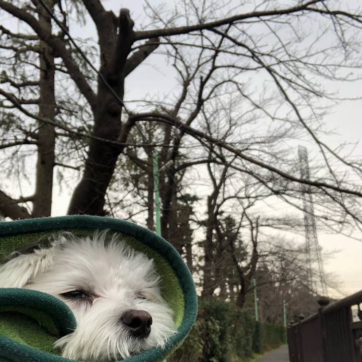 462eb2a4 f324 4225 a204 50b743562cff 1548900523553