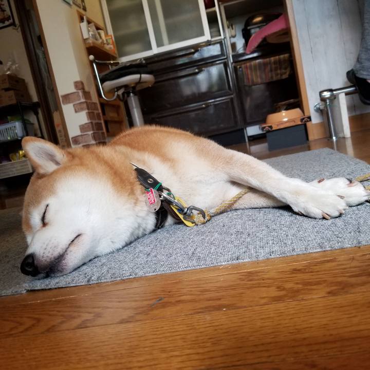 462f20bd 0908 47af a392 b5e25cfbc79c 1603940601779