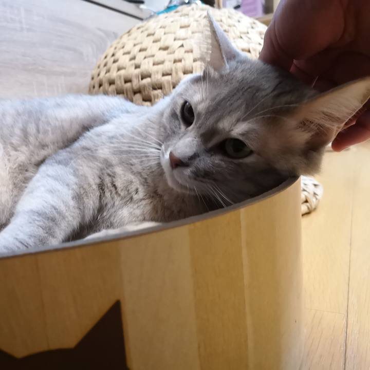 462f49a5 a731 4f11 9c86 c8362d2c18a7 1578316689366