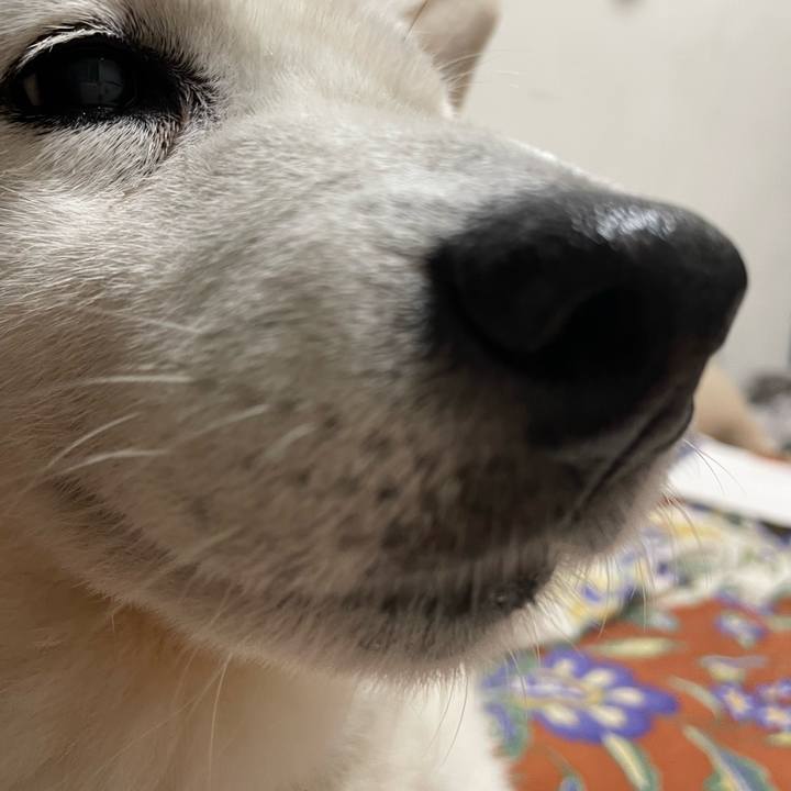 462f53fd 3a86 4ff1 90b2 9f21e0c2e38c 1688152516395