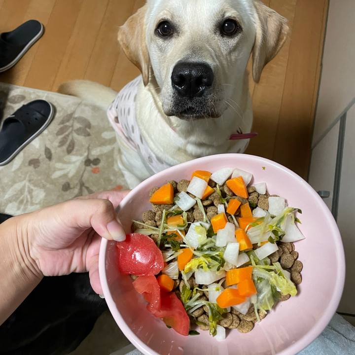 462f763b 29a0 49f1 b3b8 42dabe26a181 1634818325240