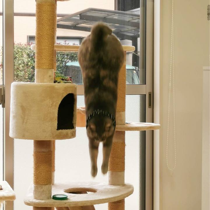 462f8f0e 4bc4 4299 88f6 0b7599989f90 1675779236179