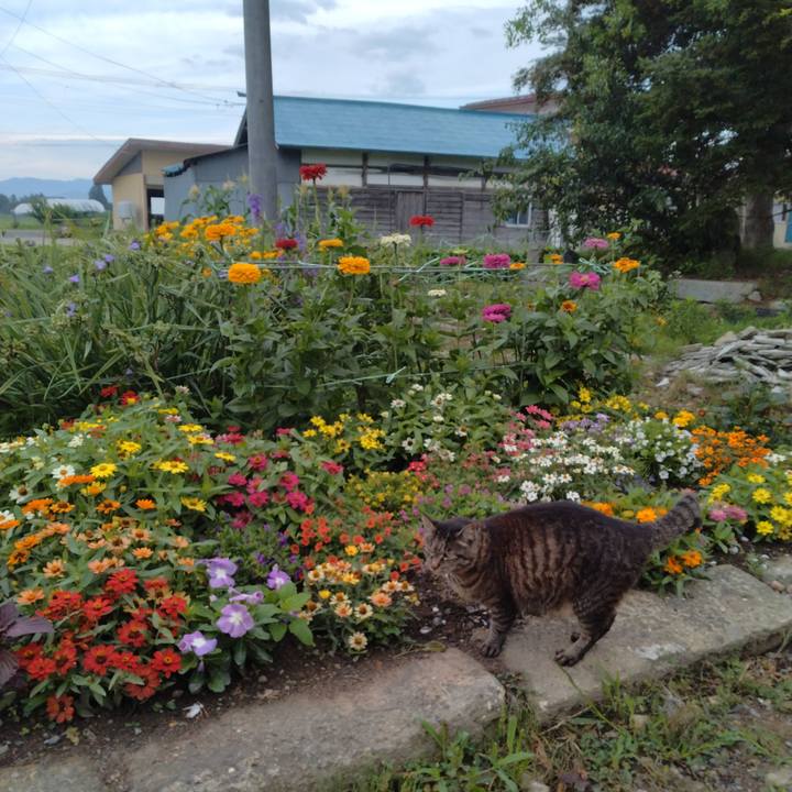 462fb750 468f 41c5 a9f0 2d7ae05995b5 1720302167109