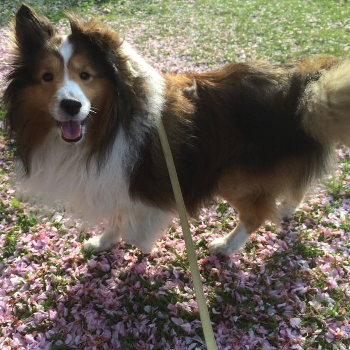 462fc49d 13e0 4504 baa5 ff8ef2a7b628 1745827978820