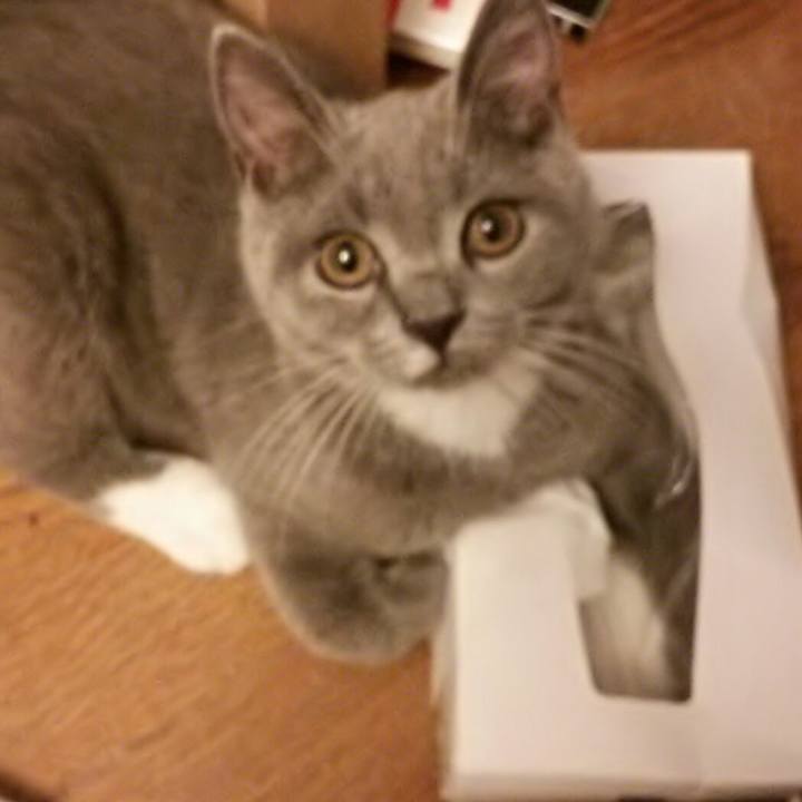 462fd9a8 921b 4406 9a88 b4789b61a636 1534199175117