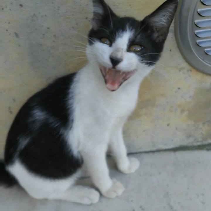 462fe4a5 dd55 479b ad05 4ecdc724d7f9 1532323566064