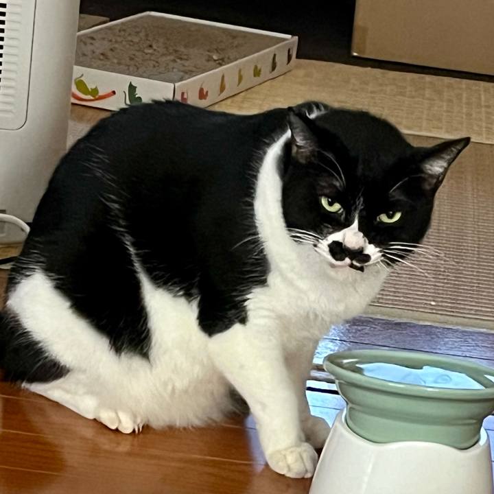 462ff59f a0bb 4139 9482 ff0d0c3aee90 1706659432029