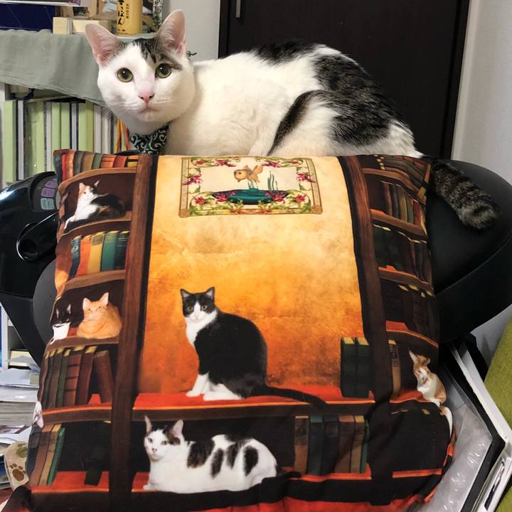 46300088 a1e6 4460 8eec fc94cf360e8e 1527170697714