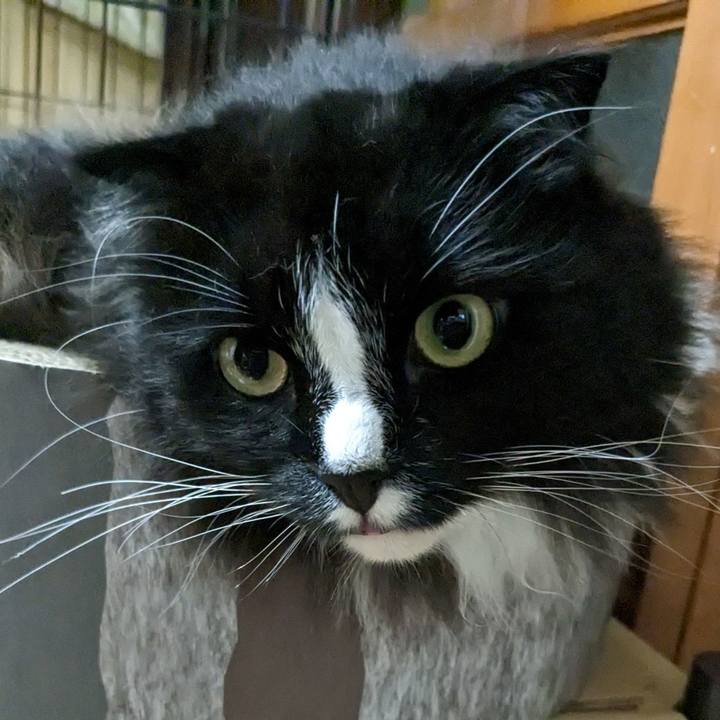 46301c33 6e7b 4835 959b 126ff75e6c90 1685266689995