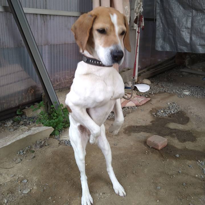 46304b59 ec29 4a31 aeed 1365ed704279 1648545891710