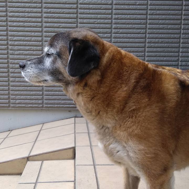 4630528c 1d6b 48f8 900a a0cd900fed13 1558083179124