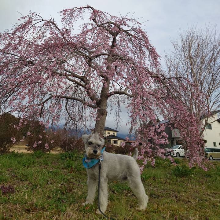 46306636 ba17 4f58 b4b8 4a9bcd4c357d 1774998189097