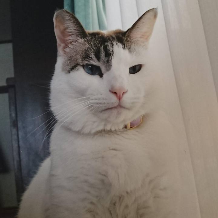 46306ffb 7089 417e 885b aa5ad9bd3790 1699160980152