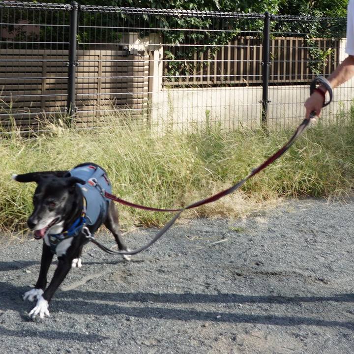 4630a15a 8695 4b8f aaa7 f42bbae71f7b 1758586254868