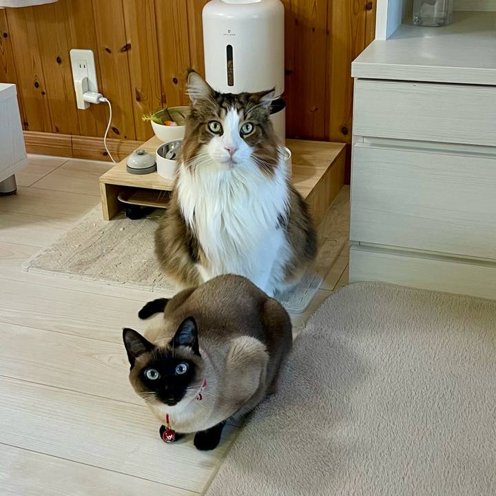 4630b69e 60f3 401f b2cb 8e2782aabed7 1767561384095