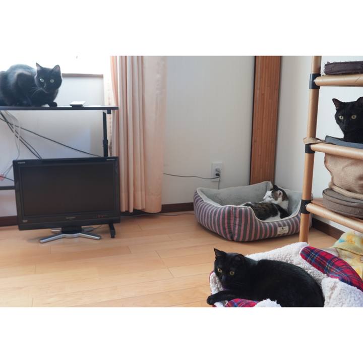 4630bfe7 dfd7 4fb0 b493 bcaee7fa8368 1601440906072