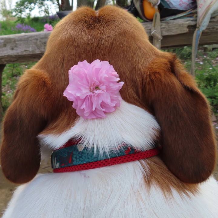 4630c92e eb9f 4b65 ad0a 79272e61b8bc 1649756326325