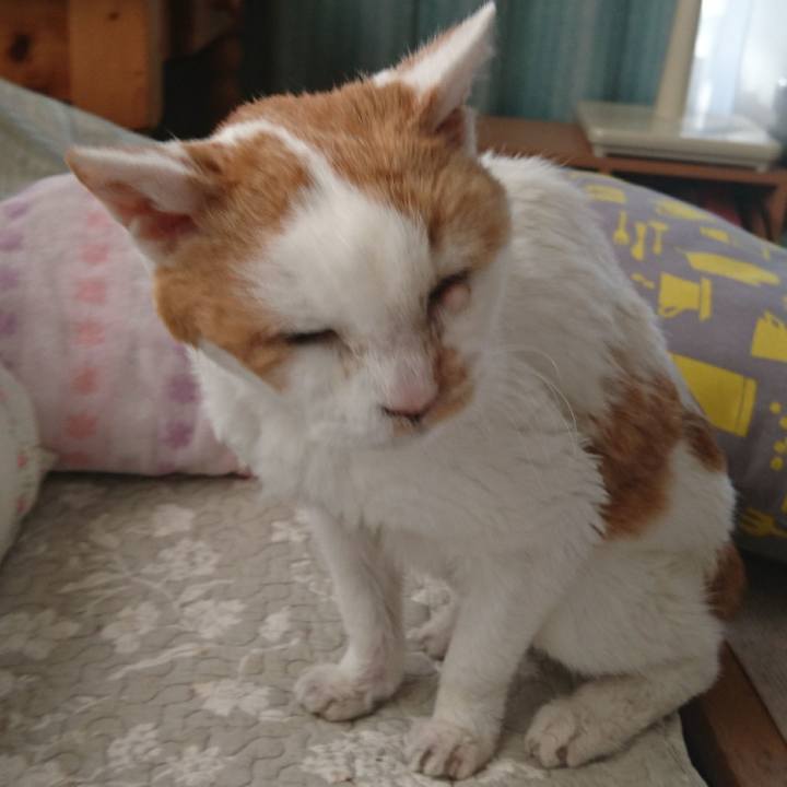 4630d472 072a 493a a1d1 2cdc1b749dbe 1623495878379