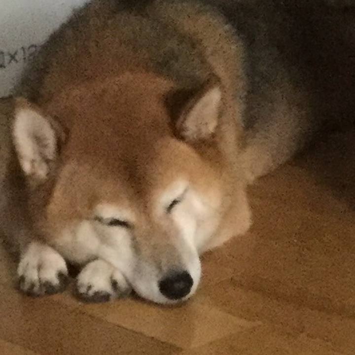 4630e619 0efc 42a0 be59 f8cfc134743e 1599370776375