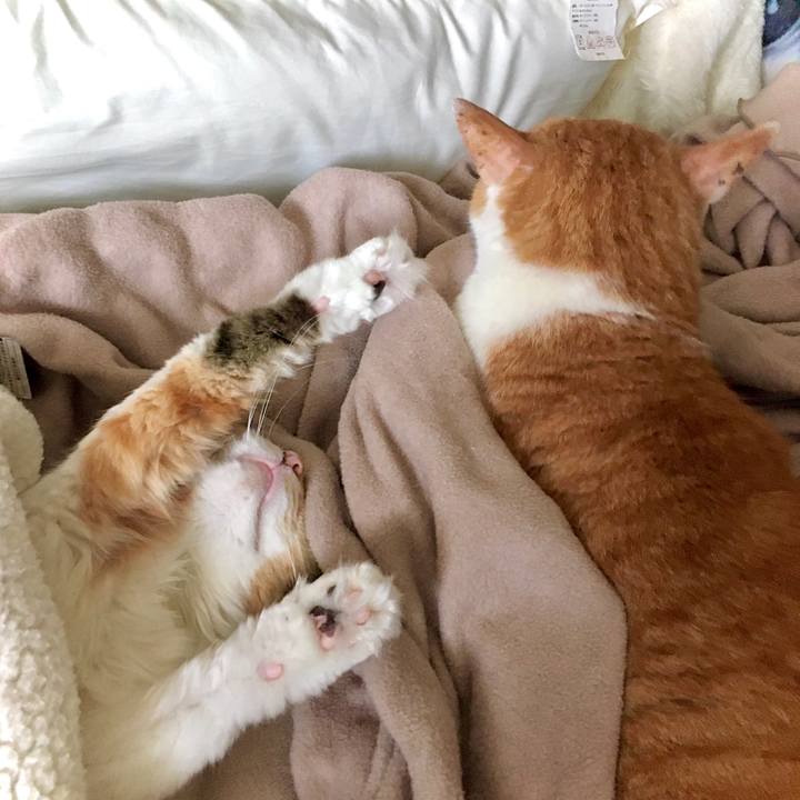 4630f07f 83c3 4188 a6ff 992f8c2be7a5 1594623350472