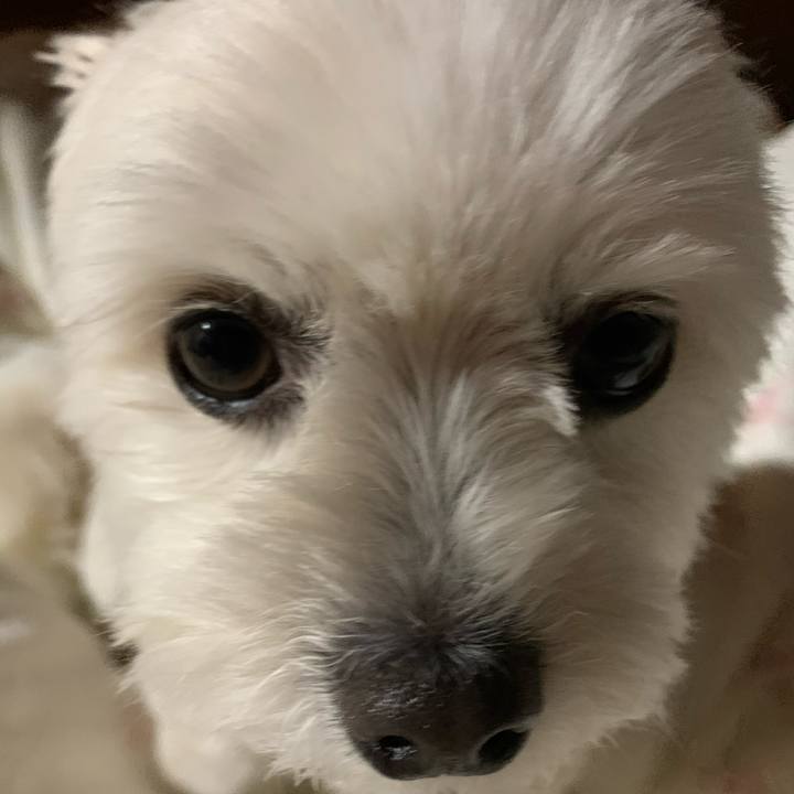 46313136 2c8c 4674 a61e 29440891af7f 1619954712198