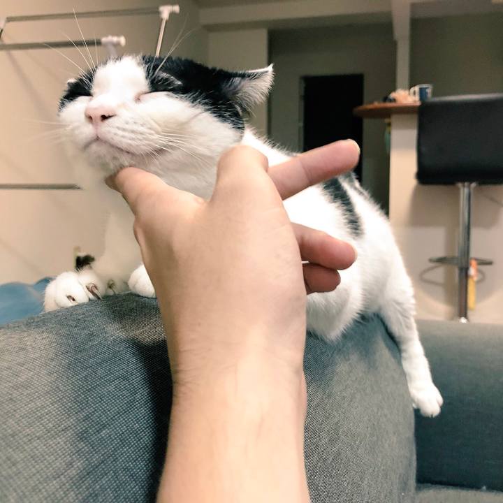 46314303 c5f8 40a9 a89d 5b556447e2d7 1536541081509