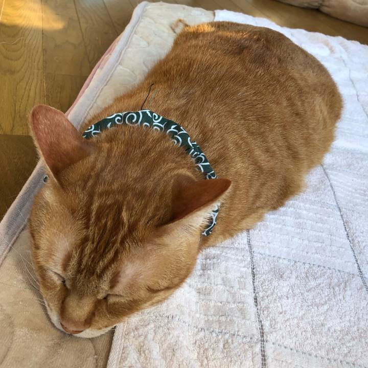 46315931 3ee8 4fae 8258 30f72c51fd70 1557953982652