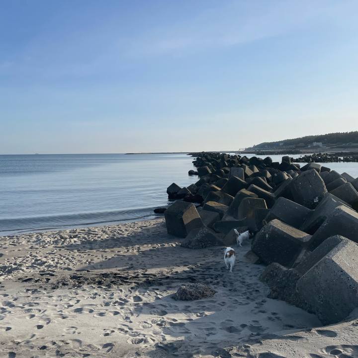 46316278 3216 4f7b 8f90 ea2de9a003a0 1741735773396