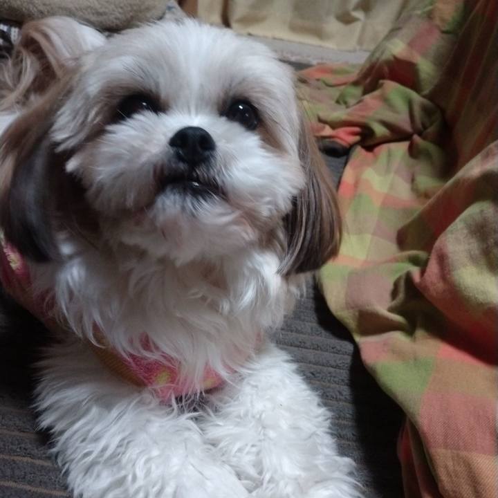 46317891 c49d 46bc 99d9 5d0bd50efa20 1643288026012