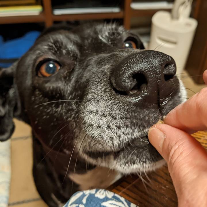 463184b5 8c7c 437f 8294 005cc2b46d51 1707734606875