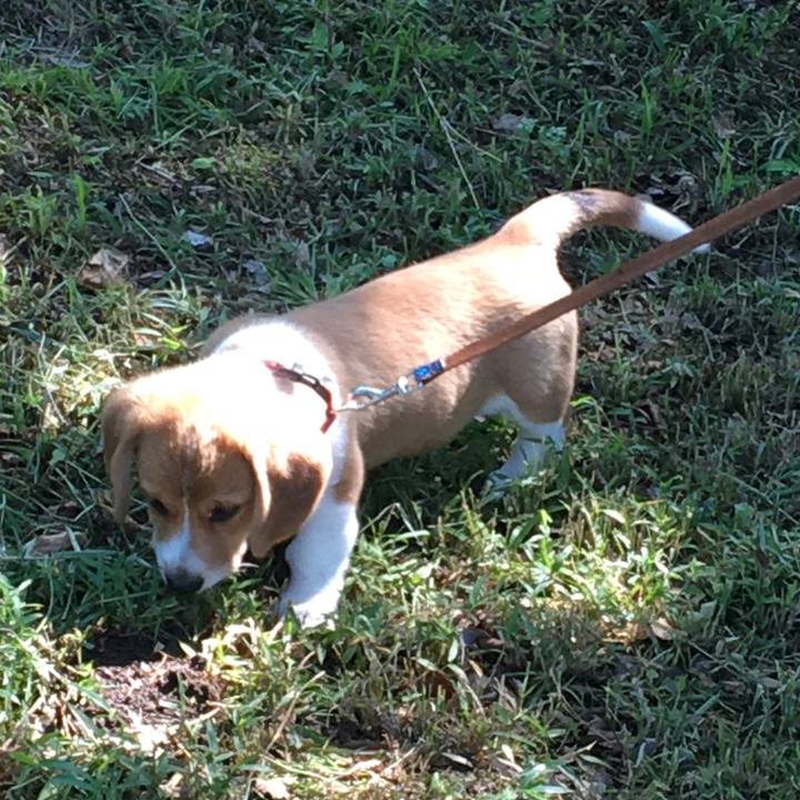 4631ac93 f499 44b1 ab5d 5c56d4d9afd2 1590712370524