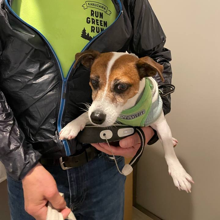 4631d145 d3ed 4bbf a30e e831876acbed 1750037879045