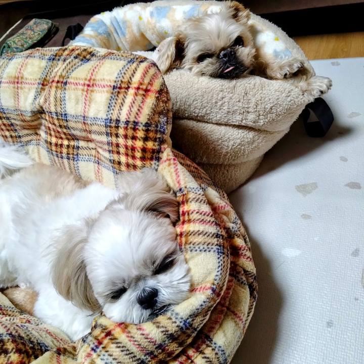 4631f888 18d4 484b b0c9 1638af25e004 1735035224519