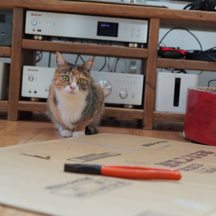 463202bf dfe0 47c1 acd6 545ddc93eb6d 1617857285396